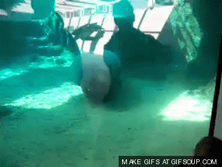 1312314607-1301139056207.gif