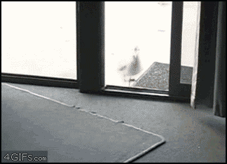 1341886615-1341880852119.bump.gif