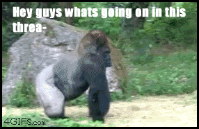 [Image: 1347486916-shit-thread.gif]