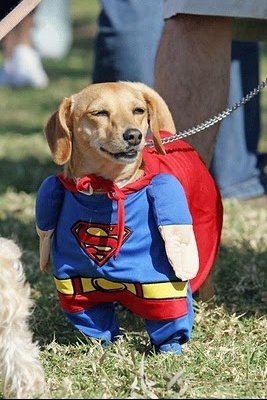 bonne année les pd 1357072730-superdog2