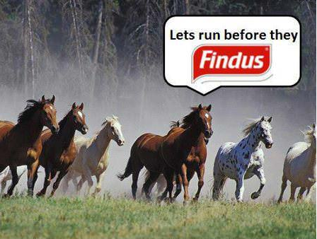 [Image: 1360816839-lets-run-before-they-findus.png]
