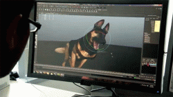 http://image.noelshack.com/fichiers/2013/23/1370728551-cod-dog.gif