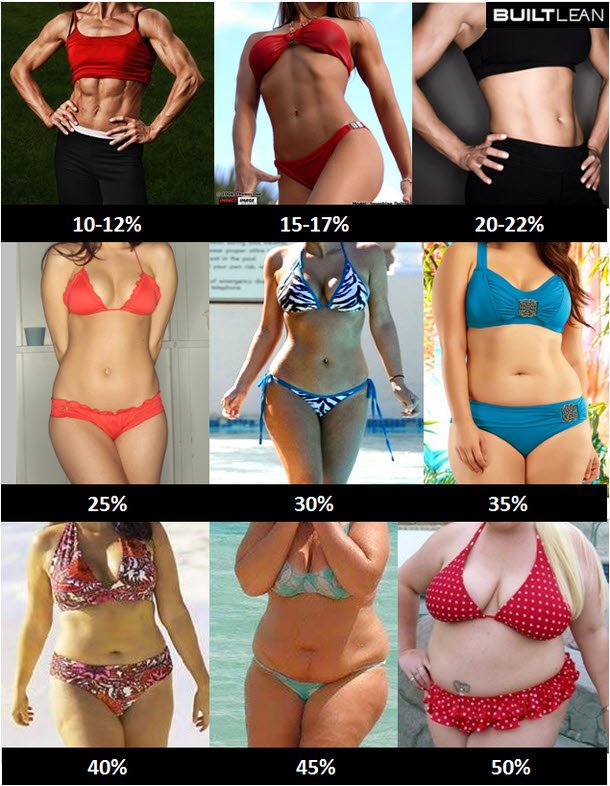 1391962105-body-fat-percentage-women.jpg