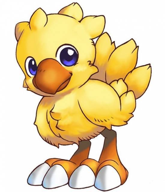 1412373694-535395-chocobo-baby.jpg