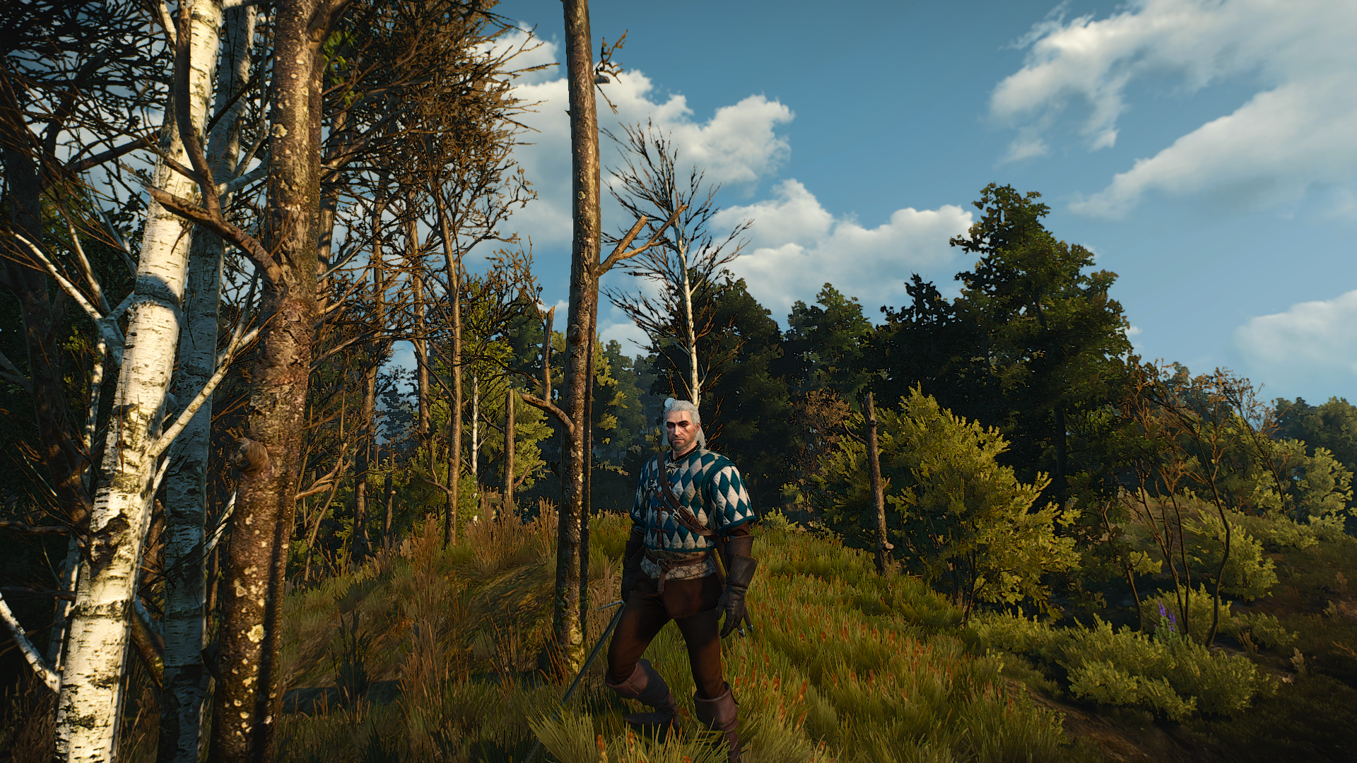 http://image.noelshack.com/fichiers/2015/21/1432220630-witcher3-2015-05-21-16-55-34-88.png