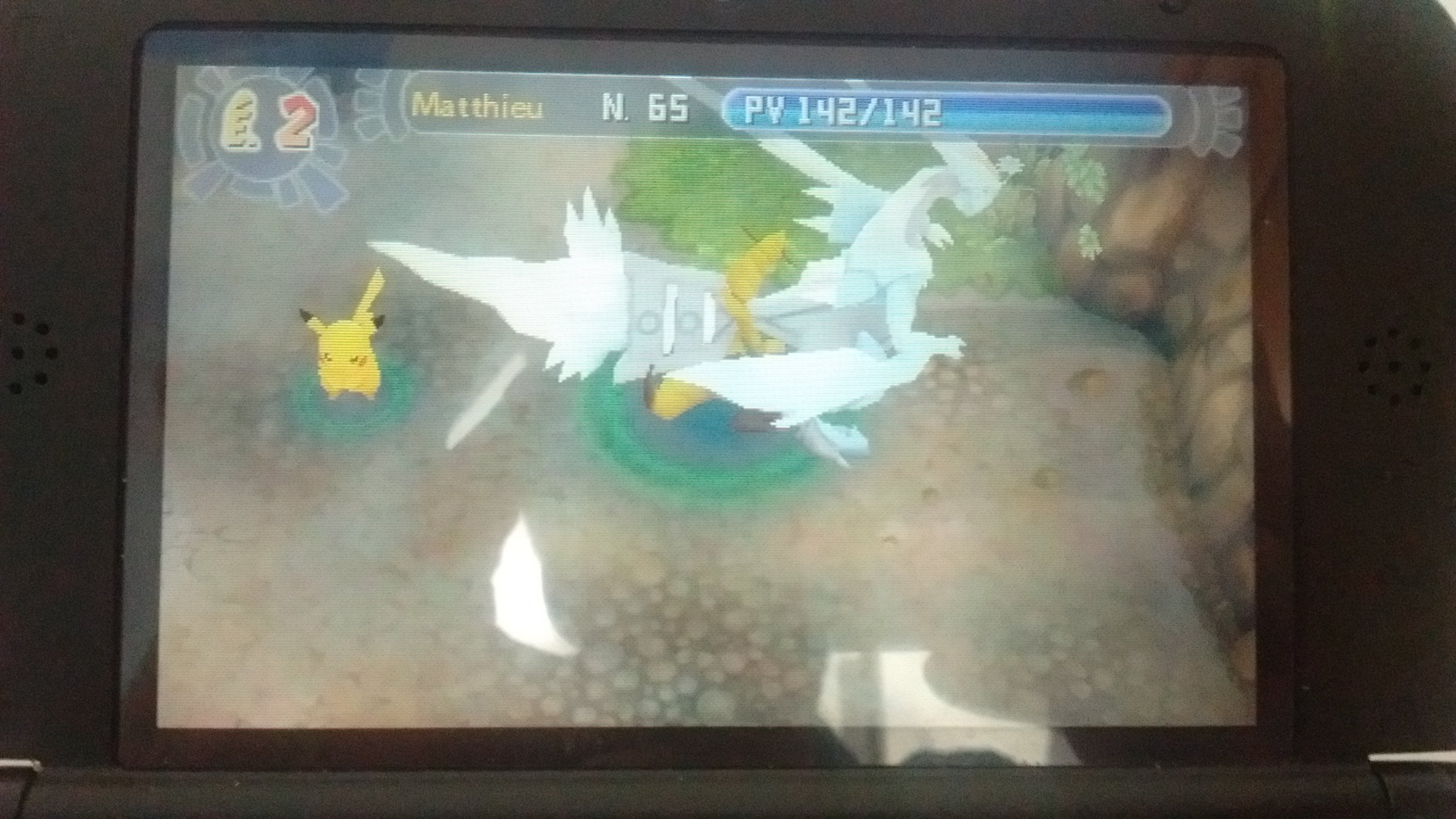 pokemon super mystery dungeon citra