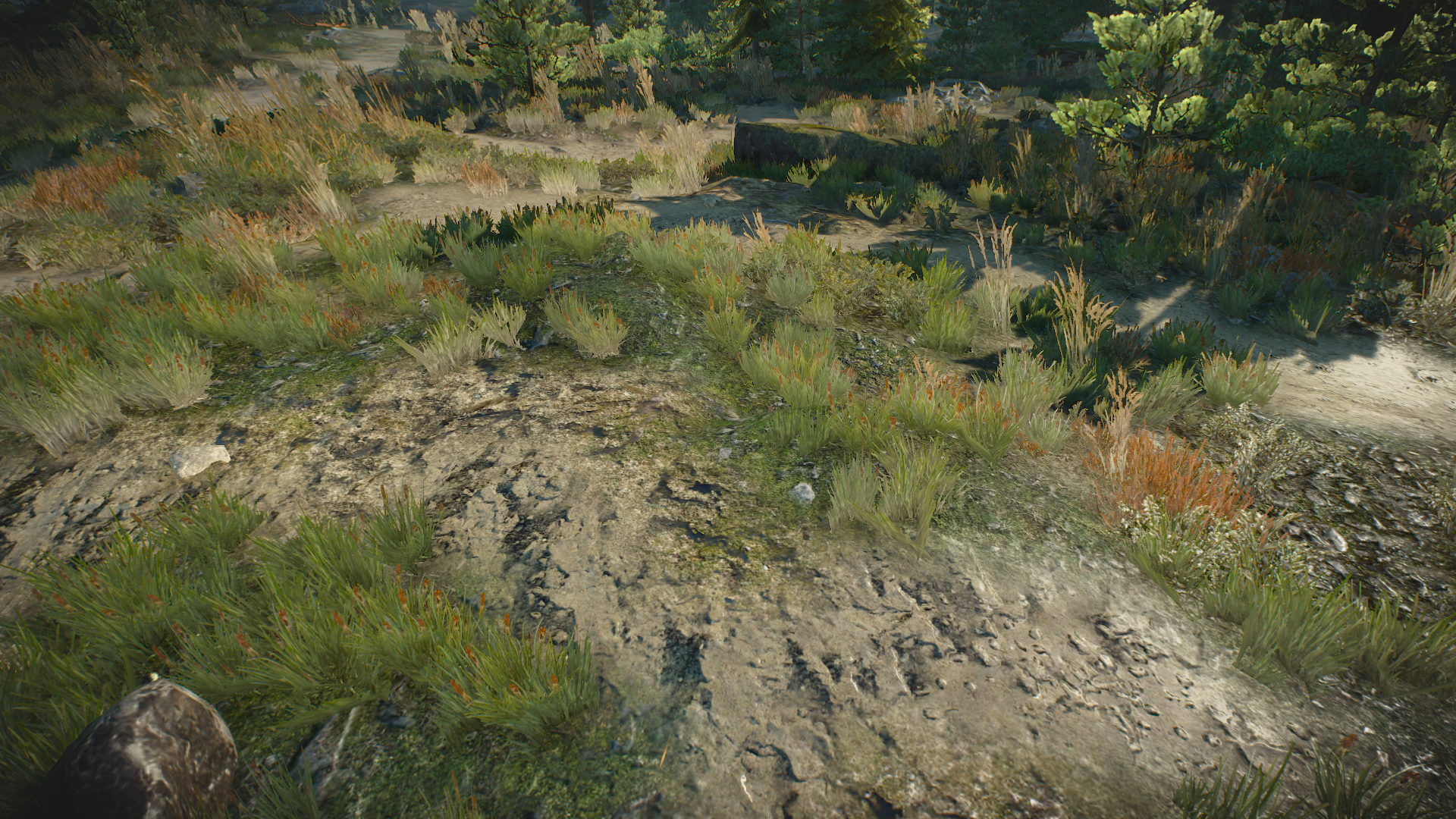1447693065-archipel-de-skellige-12.png