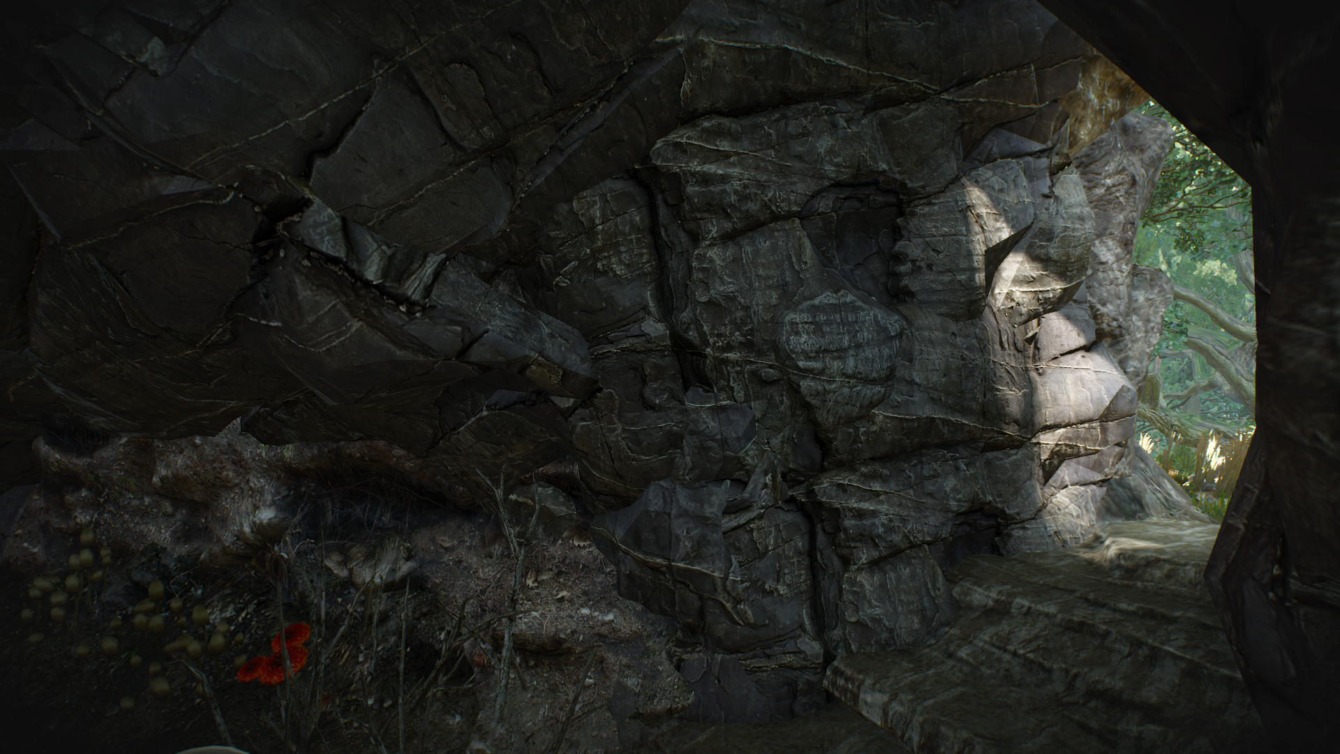 1447792728-bosquet-de-gedyneith-2.png