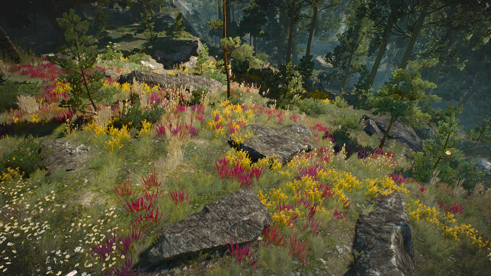 1447792923-bosquet-de-gedyneith-4.png
