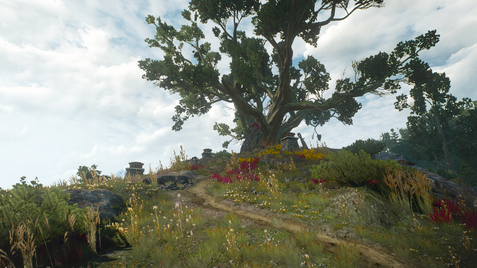 1447793072-bosquet-de-gedyneith-5.png