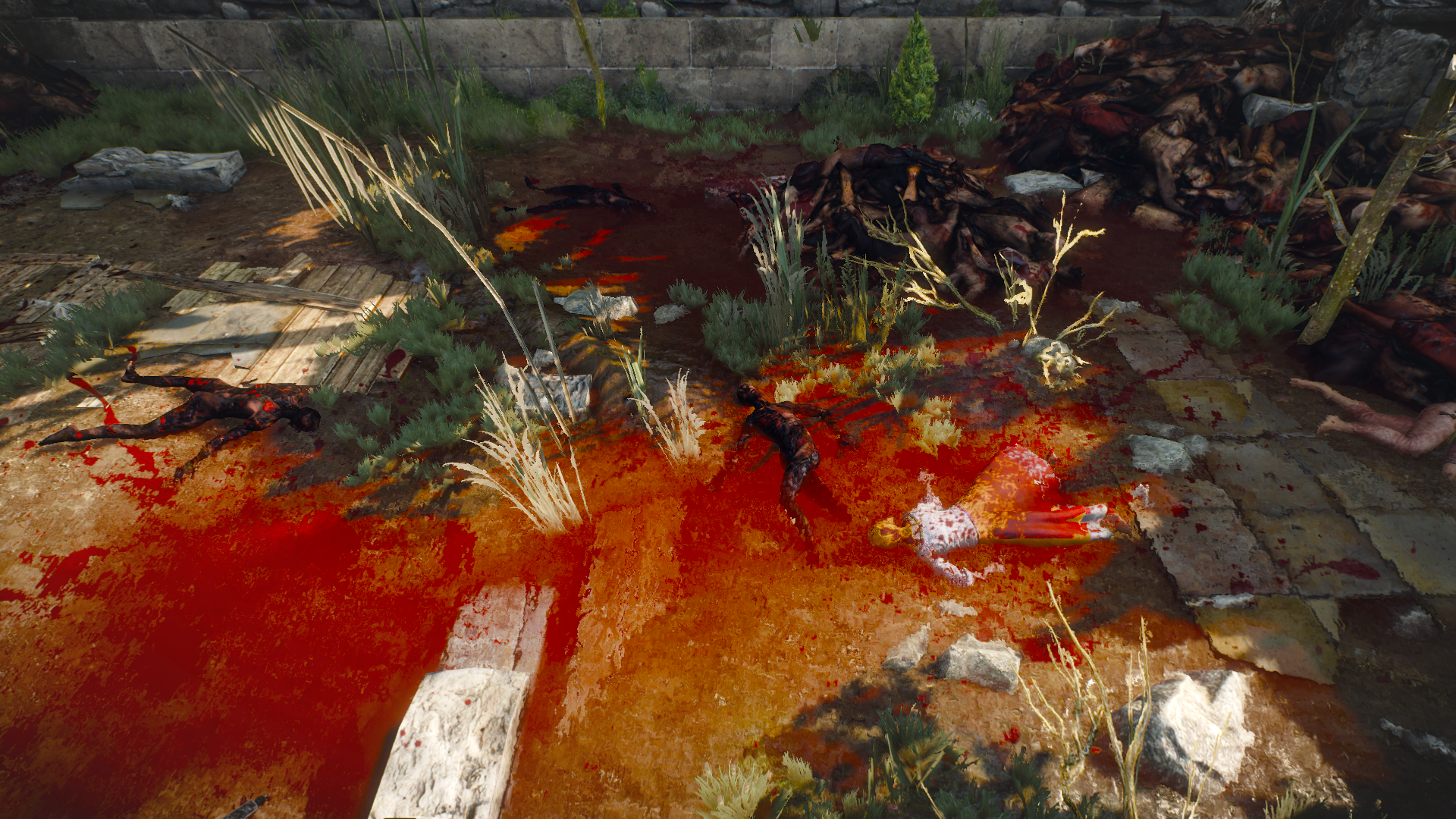 1448023767-velen-2.png