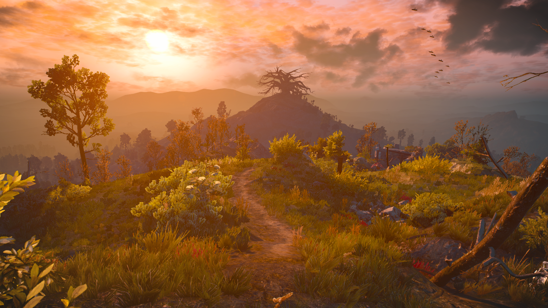 1448023802-velen-4.png