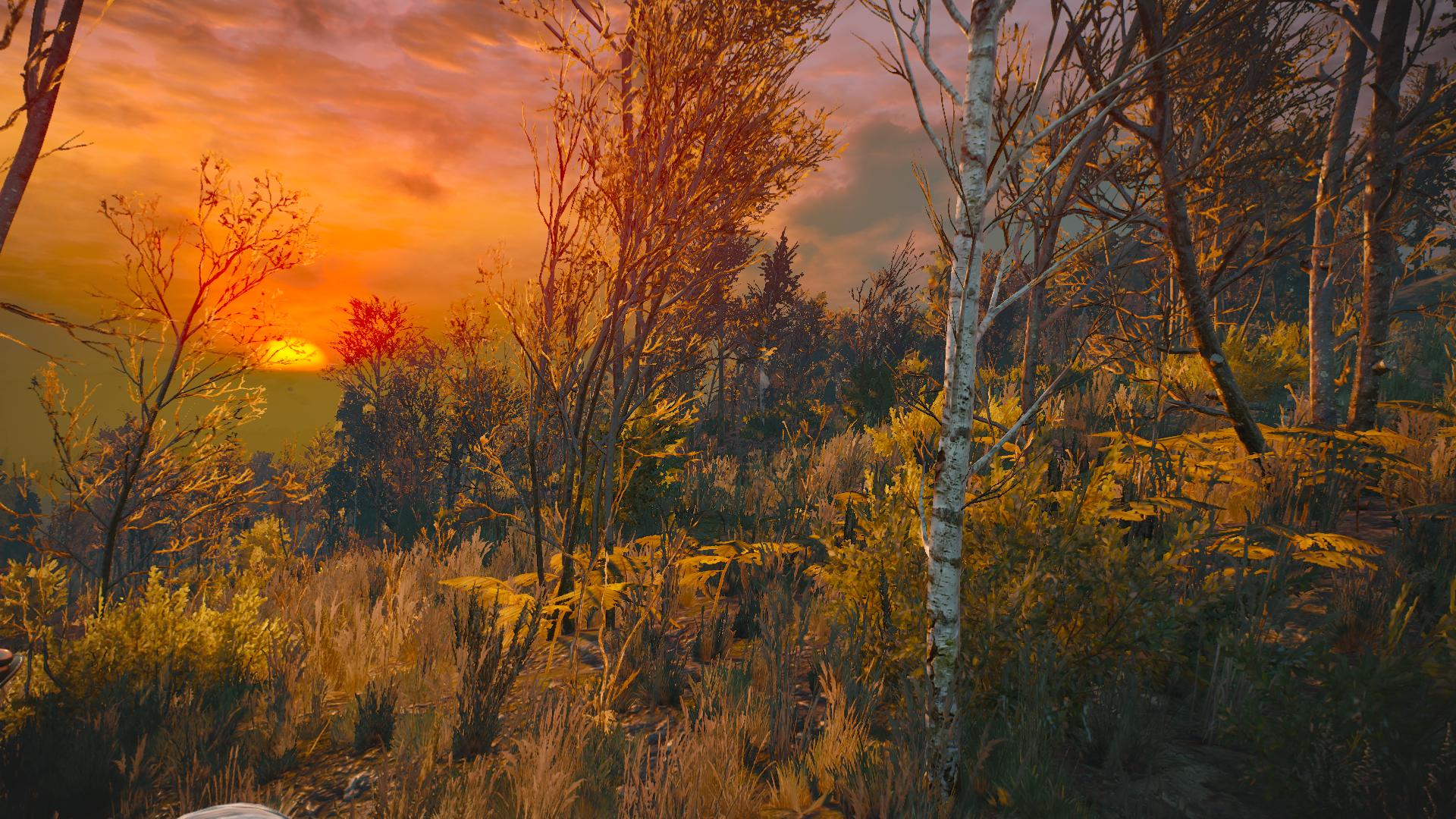 1448219583-velen.png