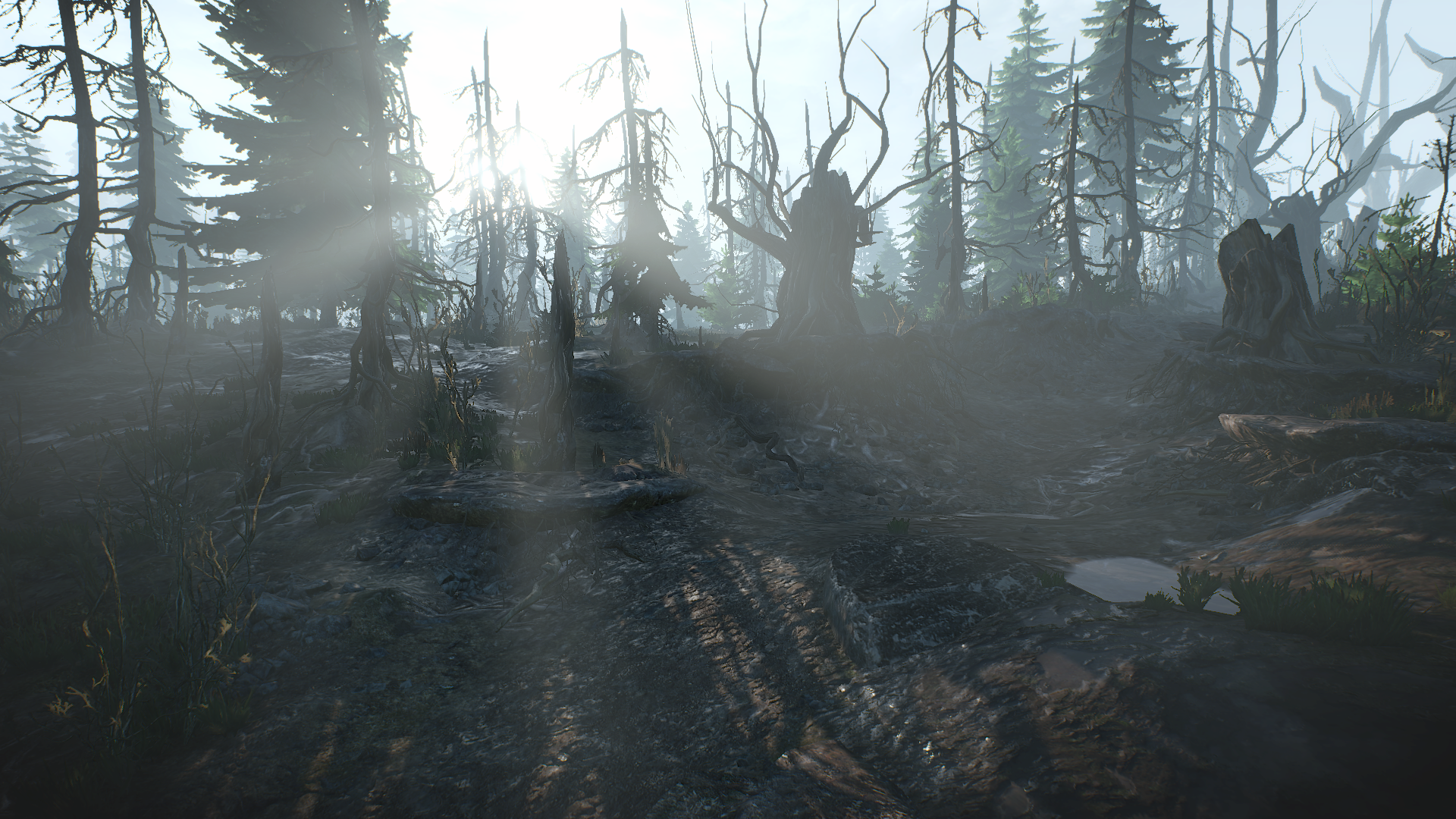 1448297327-archipel-de-skellige-8.png