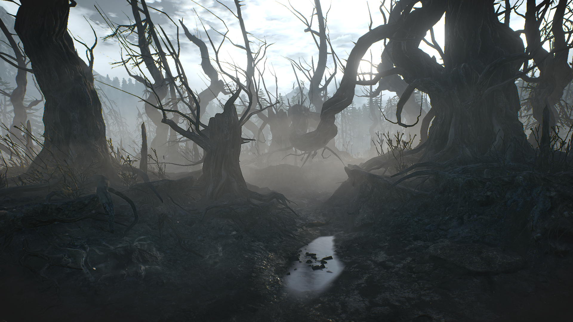 1448297889-archipel-de-skellige-7.png