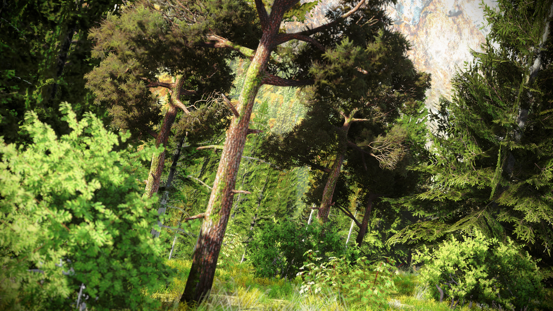1452436104-driveclub-tm-20160110153203.png