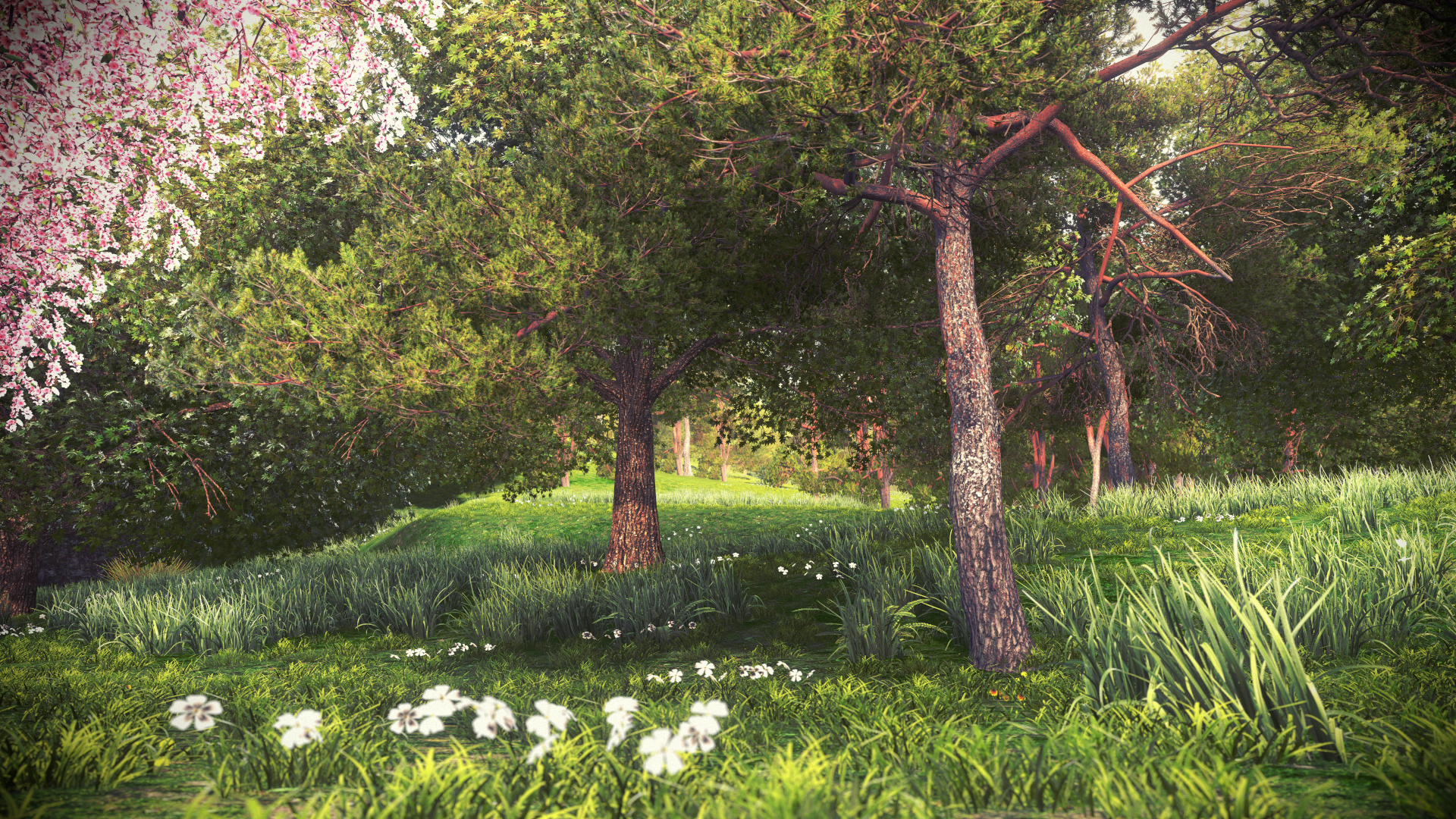 1454776517-driveclub-tm-20160206165607.png