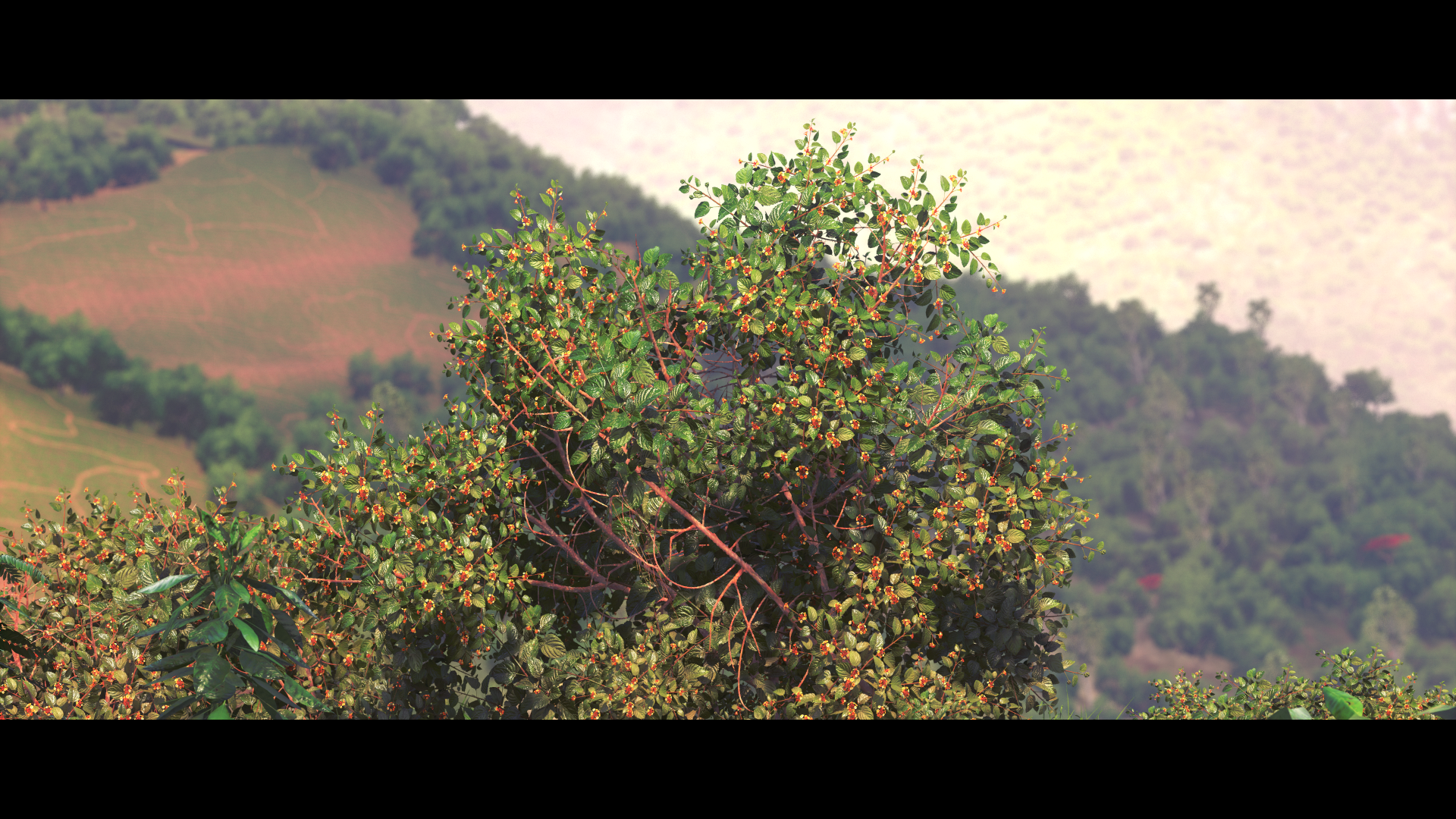 1457967781-driveclub-tm-20160314142437.png