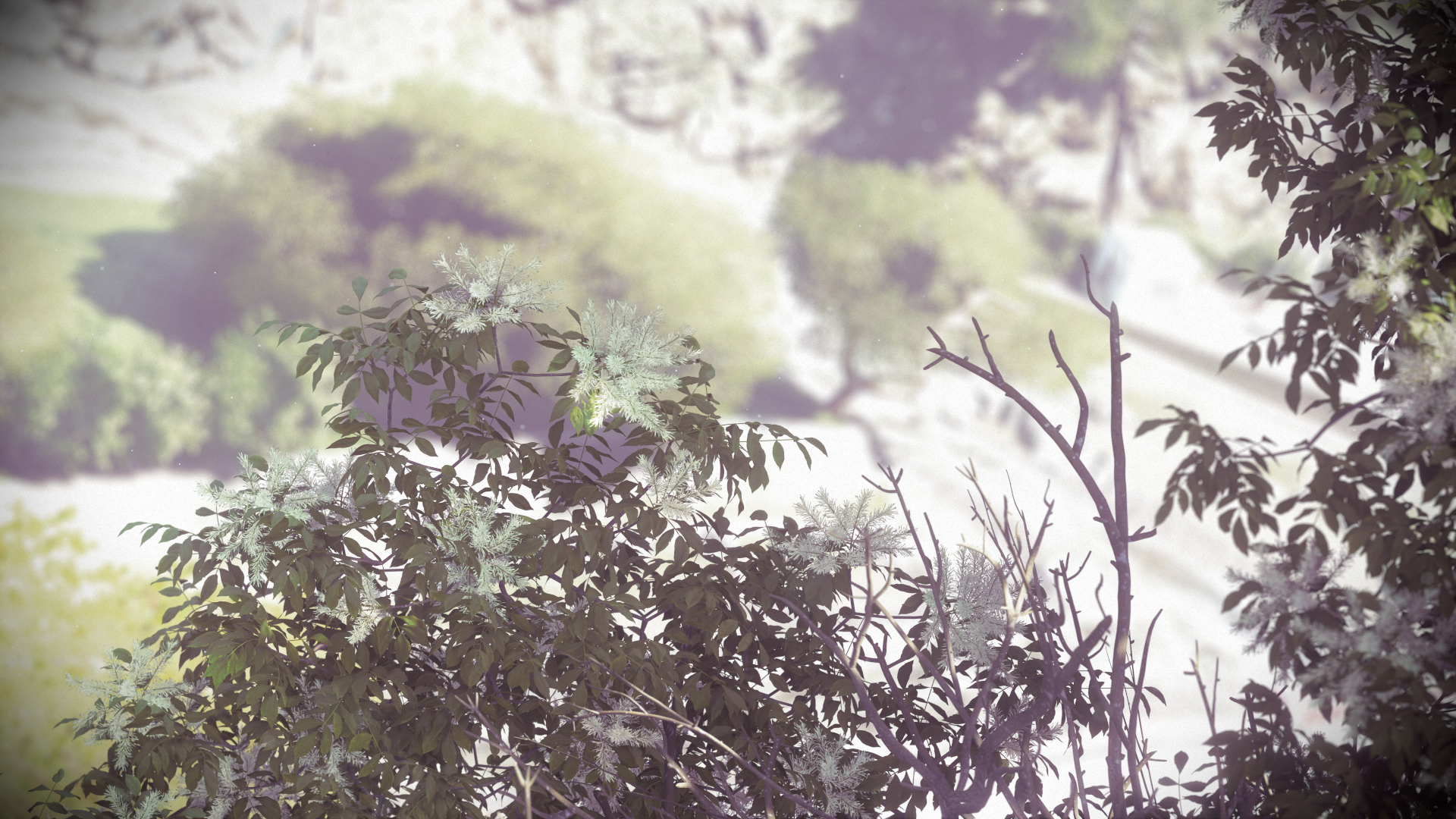 1458402687-driveclub-tm-20160319154102.png