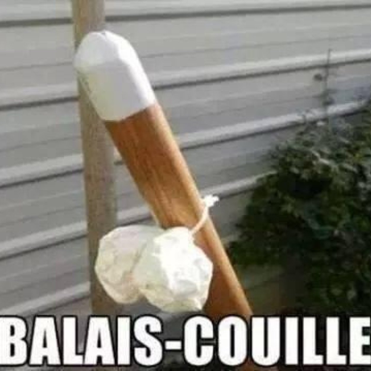 1466944996-balai.jpeg