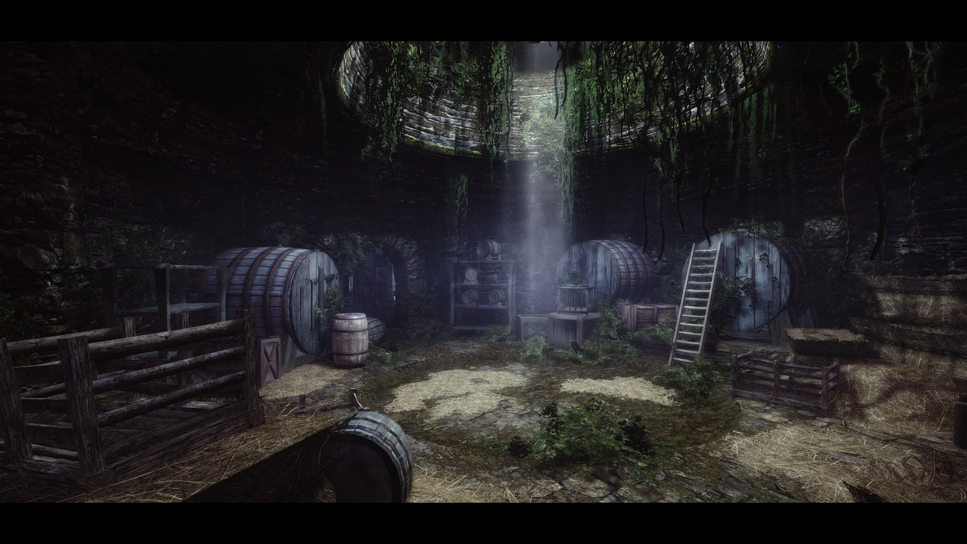 The Witcher 3 Bien Monter Son Perso Vos plus beaux screenshots... sur le forum The Elder Scrolls V : Skyrim