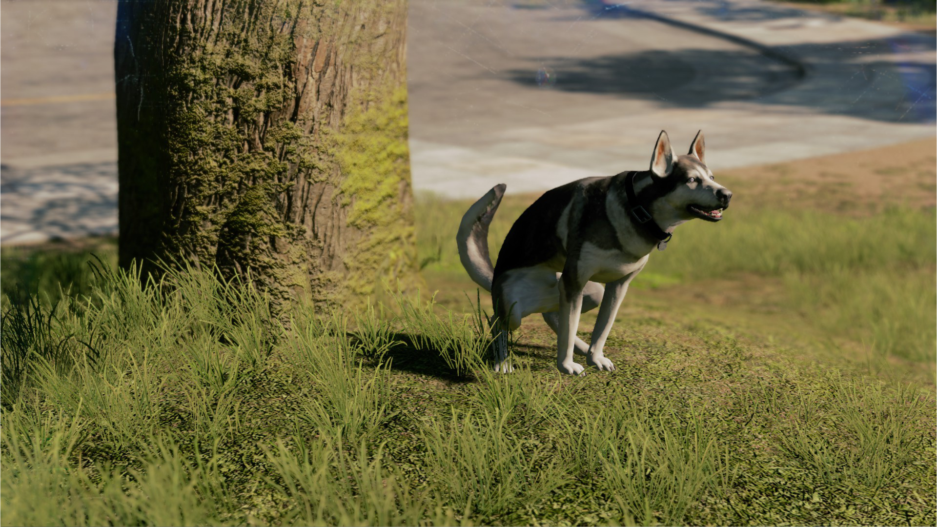 1479481813-watch-dogs-r-2-20161118085900.png
