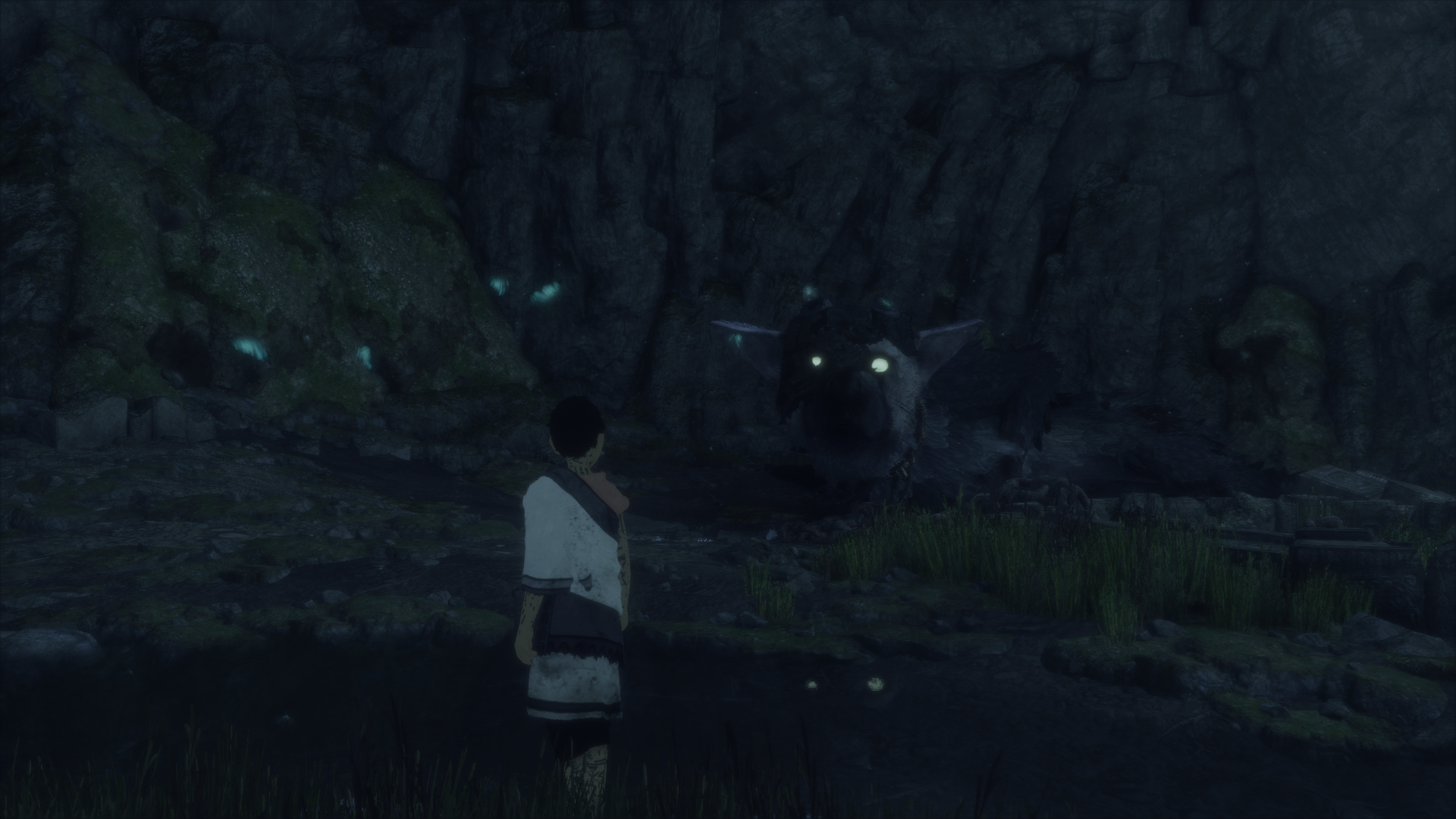 1481386283-the-last-guardian-tm-20161210145918.png