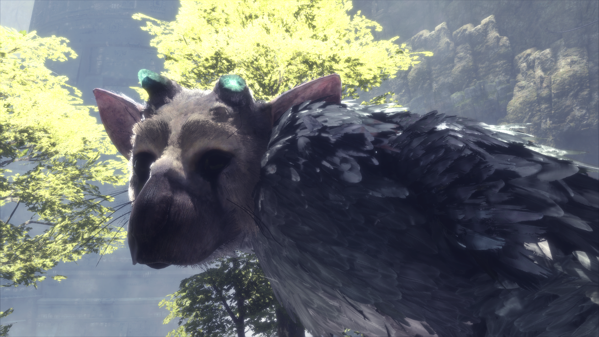 1481386920-the-last-guardian-tm-20161210160711.png