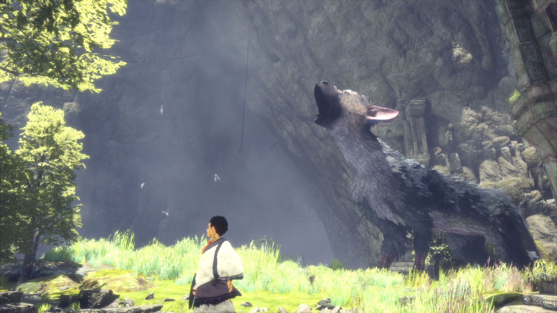 1481386923-the-last-guardian-tm-20161210160246.png