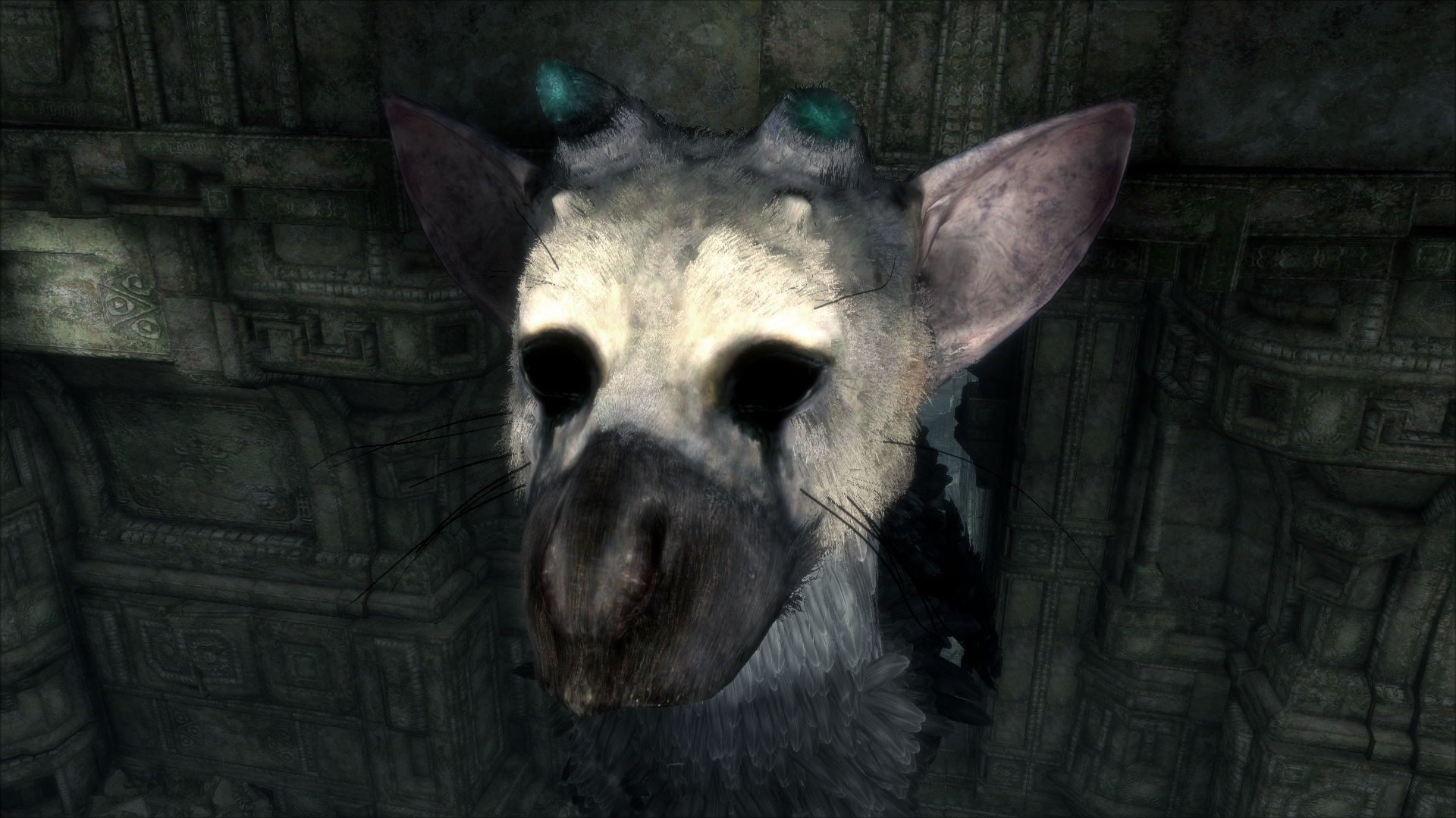 1481387077-the-last-guardian-tm-20161210170435.png
