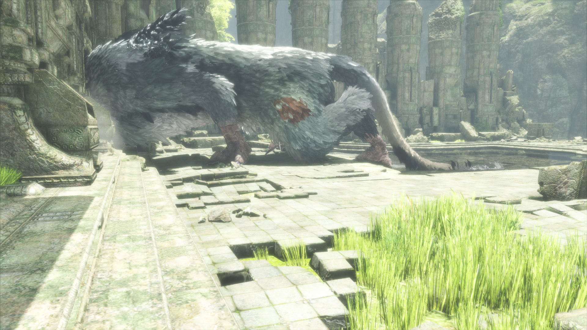1481405394-the-last-guardian-tm-20161210214128.png