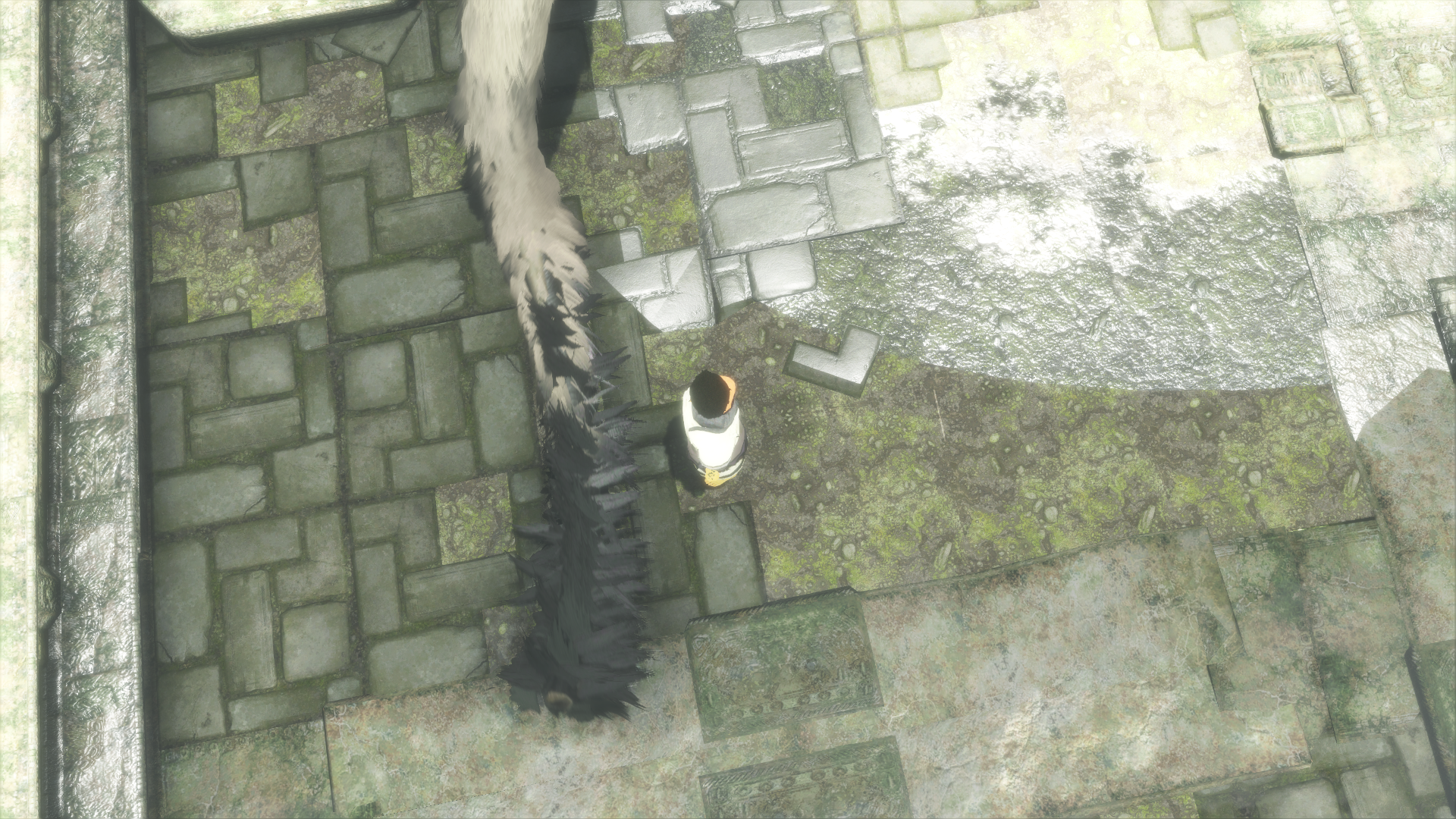 1481405446-the-last-guardian-tm-20161210214236.png
