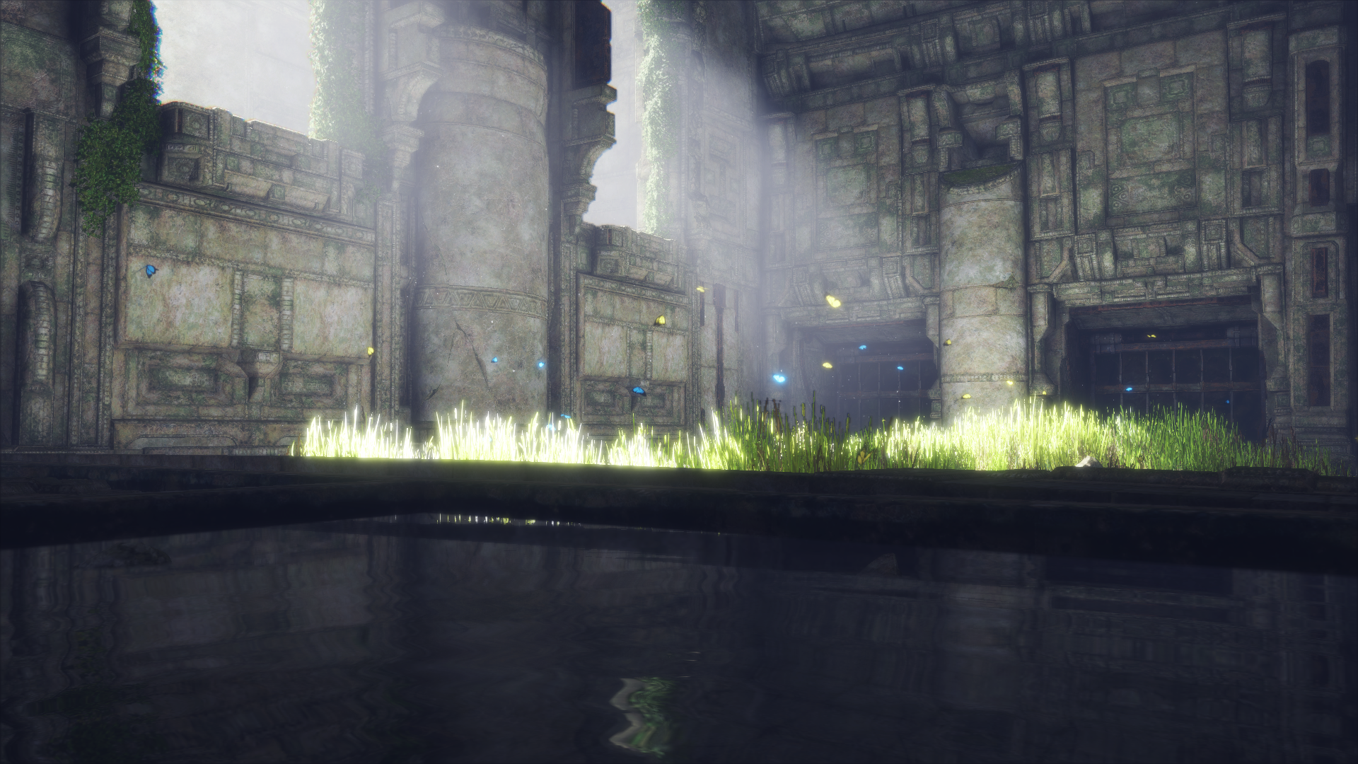 1481479121-the-last-guardian-tm-20161211171332.png