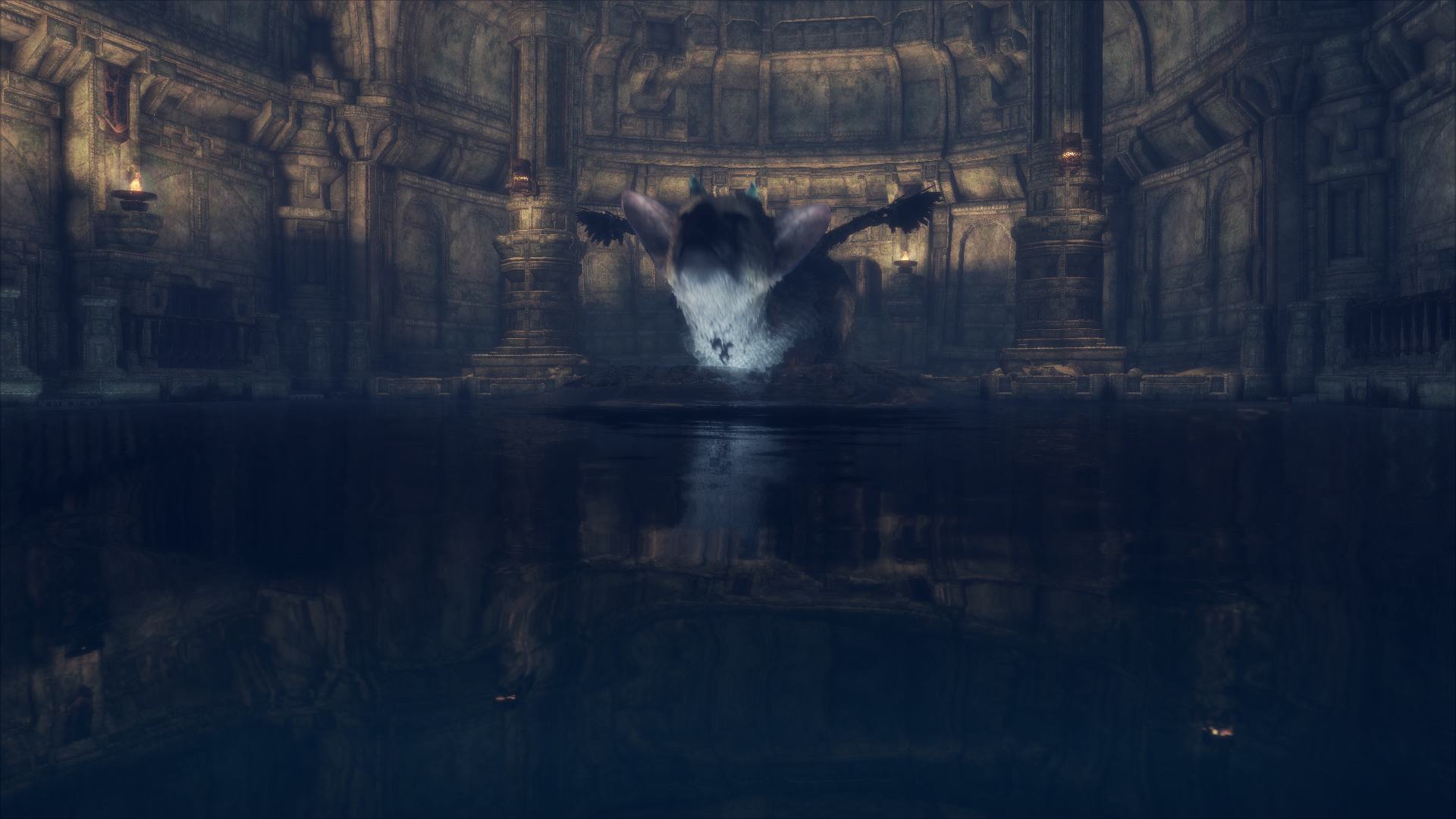 1481648803-the-last-guardian-tm-20161213134415.png