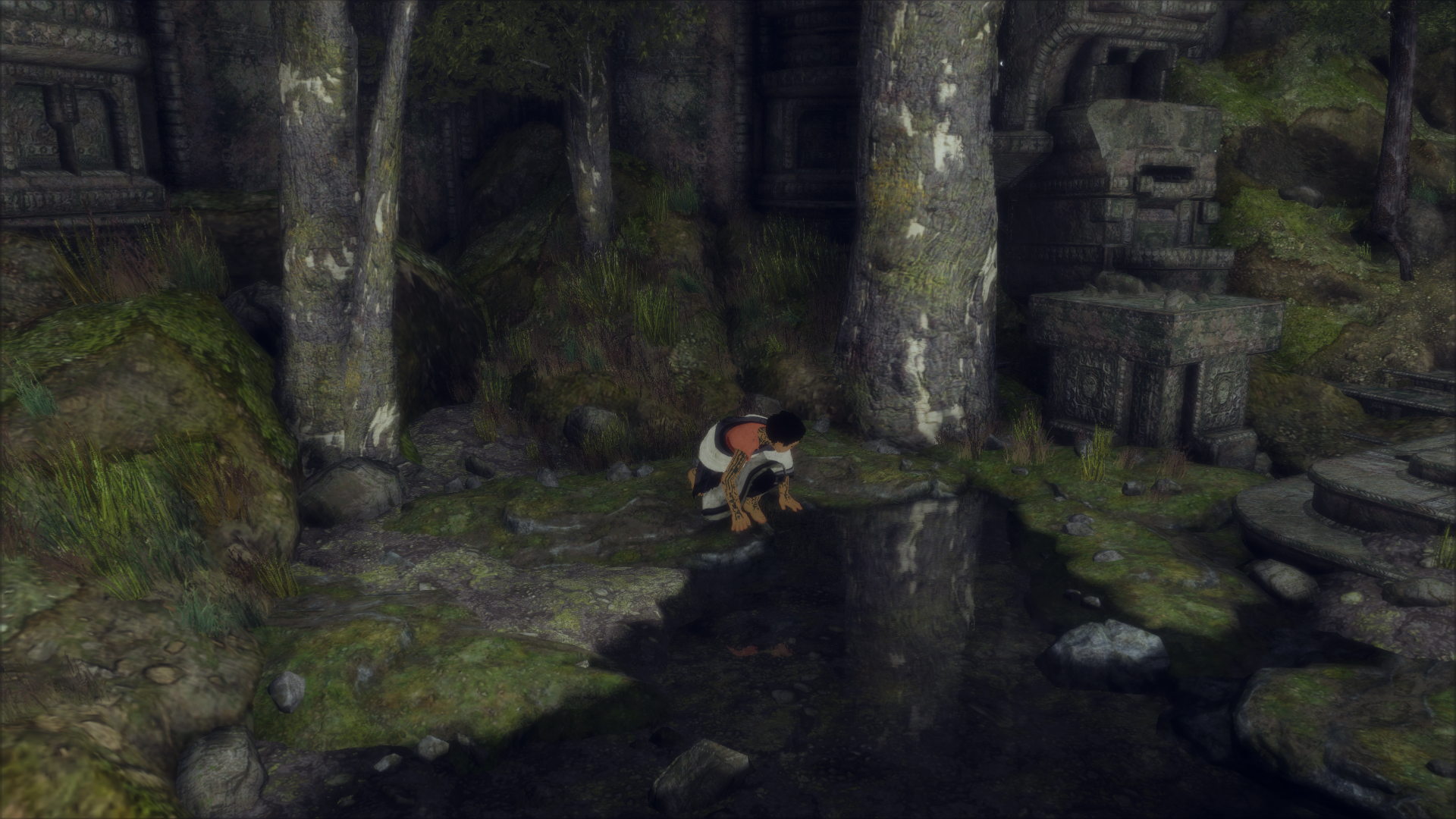 1481649157-the-last-guardian-tm-20161213165606.png