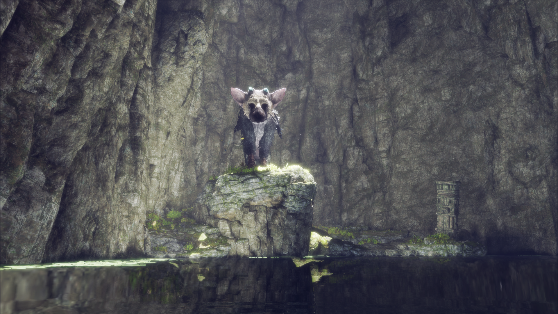 1481649159-the-last-guardian-tm-20161213142031.png