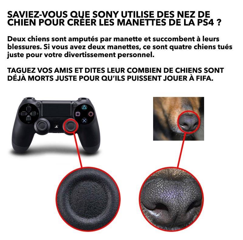 Urgente: Sony usa narices de Perro para fabricar sus mandos de Playstation 4