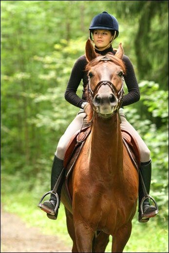 http://image.noelshack.com/fichiers/2017/02/1484182697-horserider-002-crop.jpg