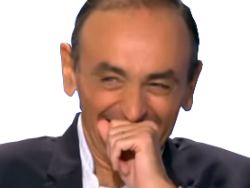 Résultat de recherche d'images pour "zemmour rire mème"