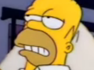 1496867011-homer15.png