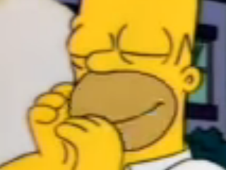 1501136214-homer14.png