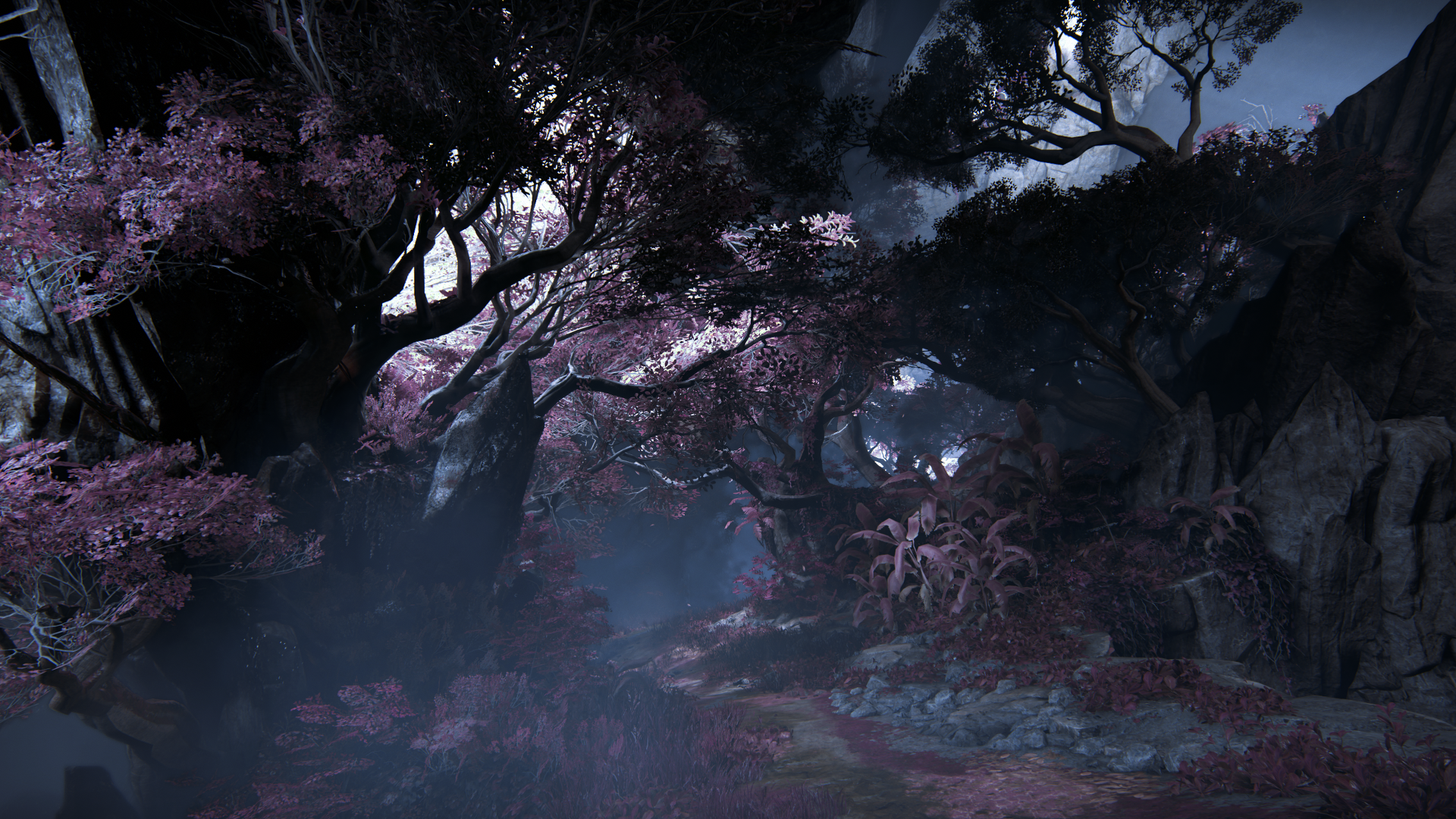 1504544856-uncharted-tm-the-lost-legacy-20170904175634.png