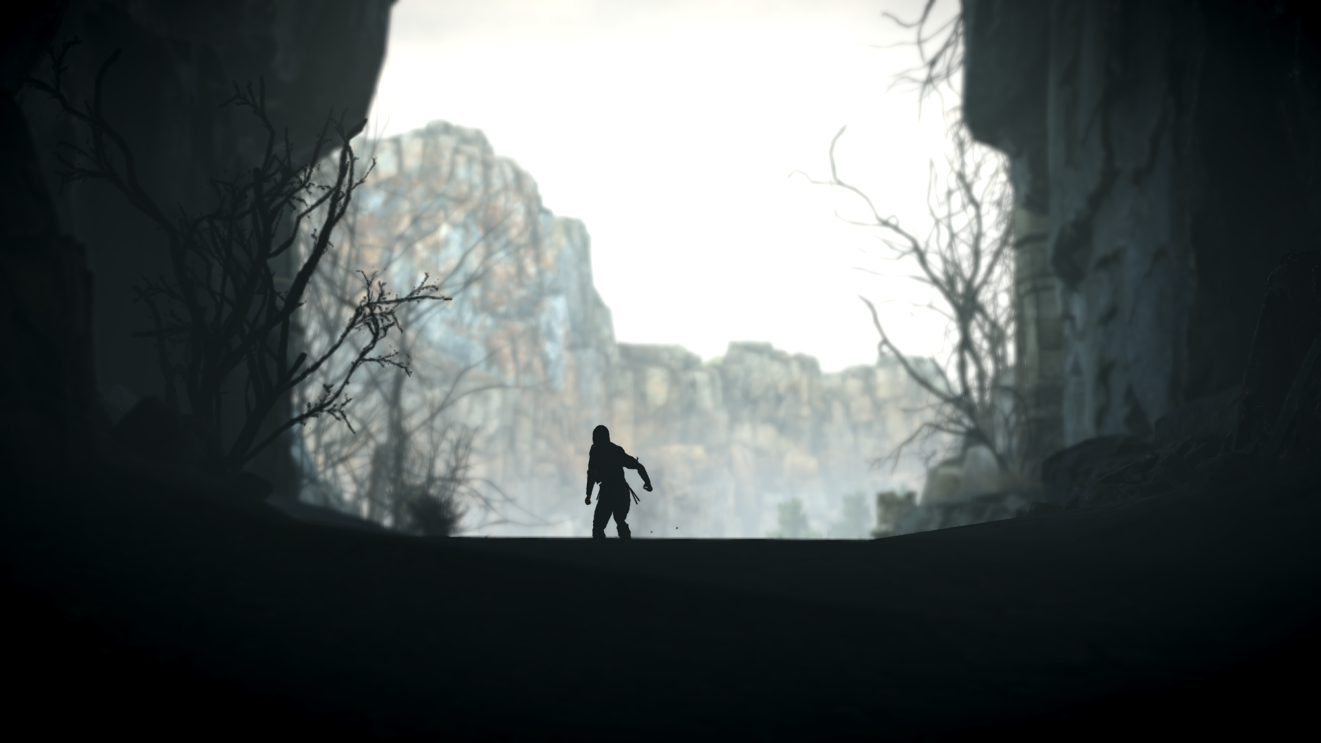 1518243927-shadow-of-the-colossus-tm-20180209201236.png