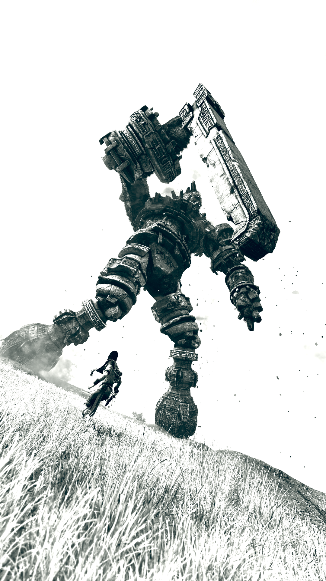 1518260117-shadow-of-the-colossus-tm-20180210112012.png