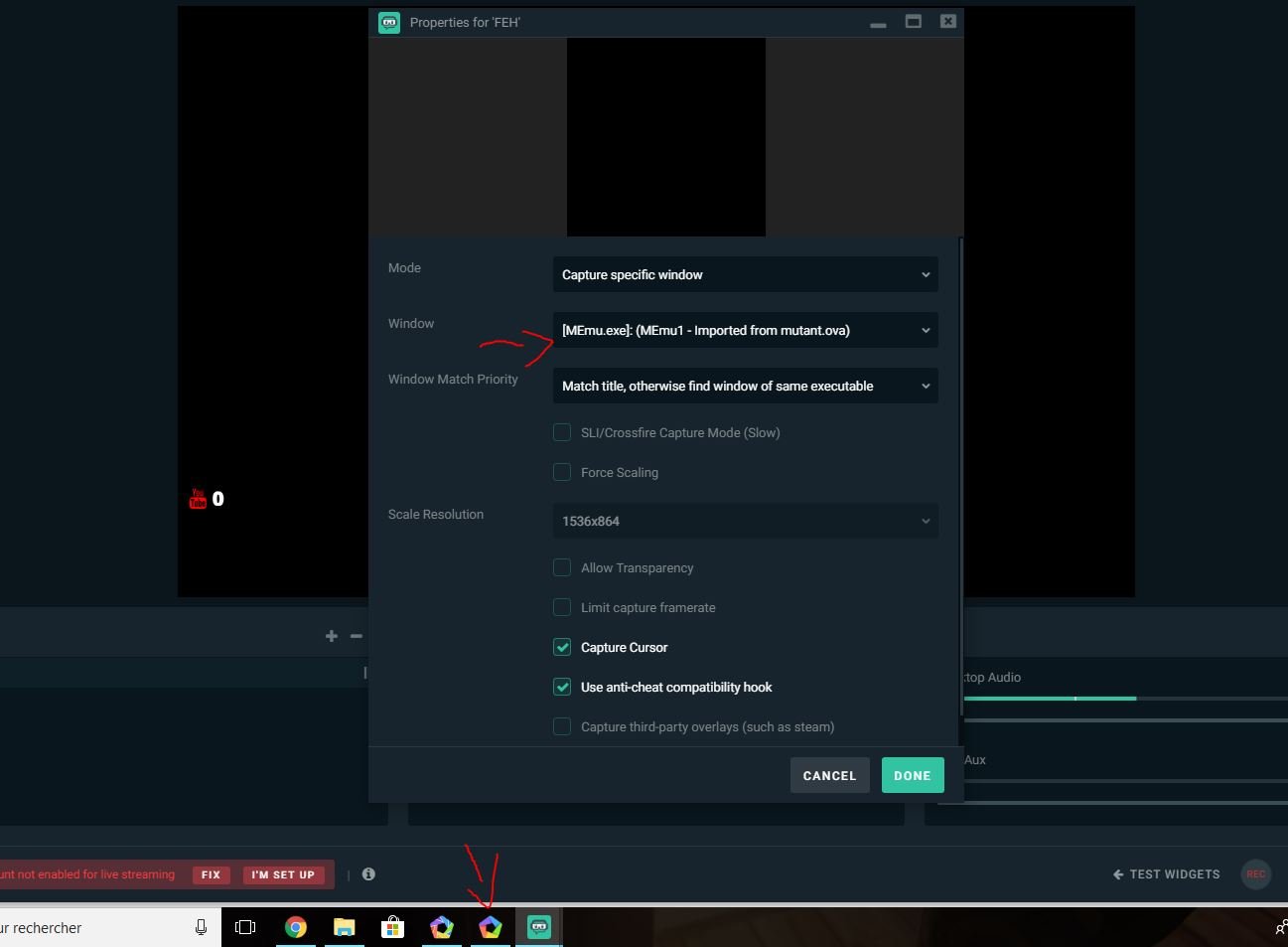 obs capture part of screen