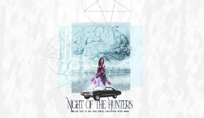 Night of the hunters