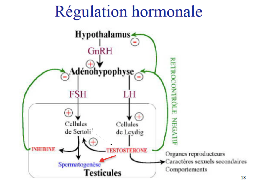 1572111334-capture-d-ecran-2019-10-26-a-