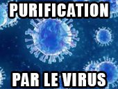 1579592100-purificationparvirus.jpg