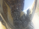 1334429065-Photo0943.png