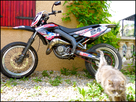 1339881533-P1040165.png
